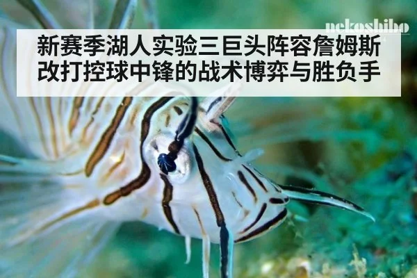 新赛季湖人实验三巨头阵容詹姆斯改打控球中锋的战术博弈与胜负手