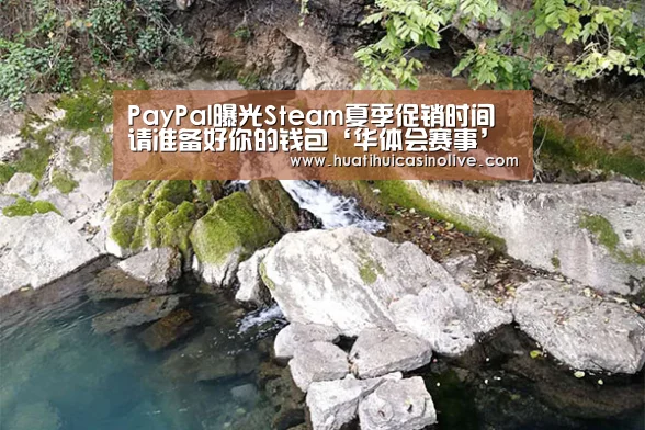 PayPal曝光Steam夏季促销时间 请准备好你的钱包‘华体会赛事’(图2) 华体会竞猜