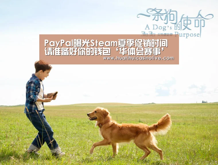 PayPal曝光Steam夏季促销时间 请准备好你的钱包‘华体会赛事’(图3) 华体会真人