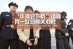 ‘华体会下载’请赐我一双翅膀关泊君身份揭秘 系林九歌生父结局终洗冤(图1) 华体会下载