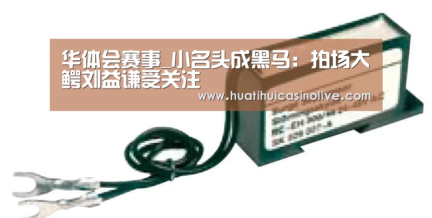 华体会赛事_小名头成黑马:拍场大鳄刘益谦受关注(图1) 华体会竞猜